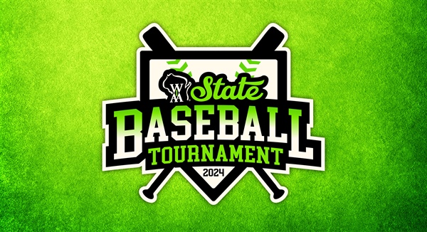 Four Champions Crowned at State Baseball Tournament
